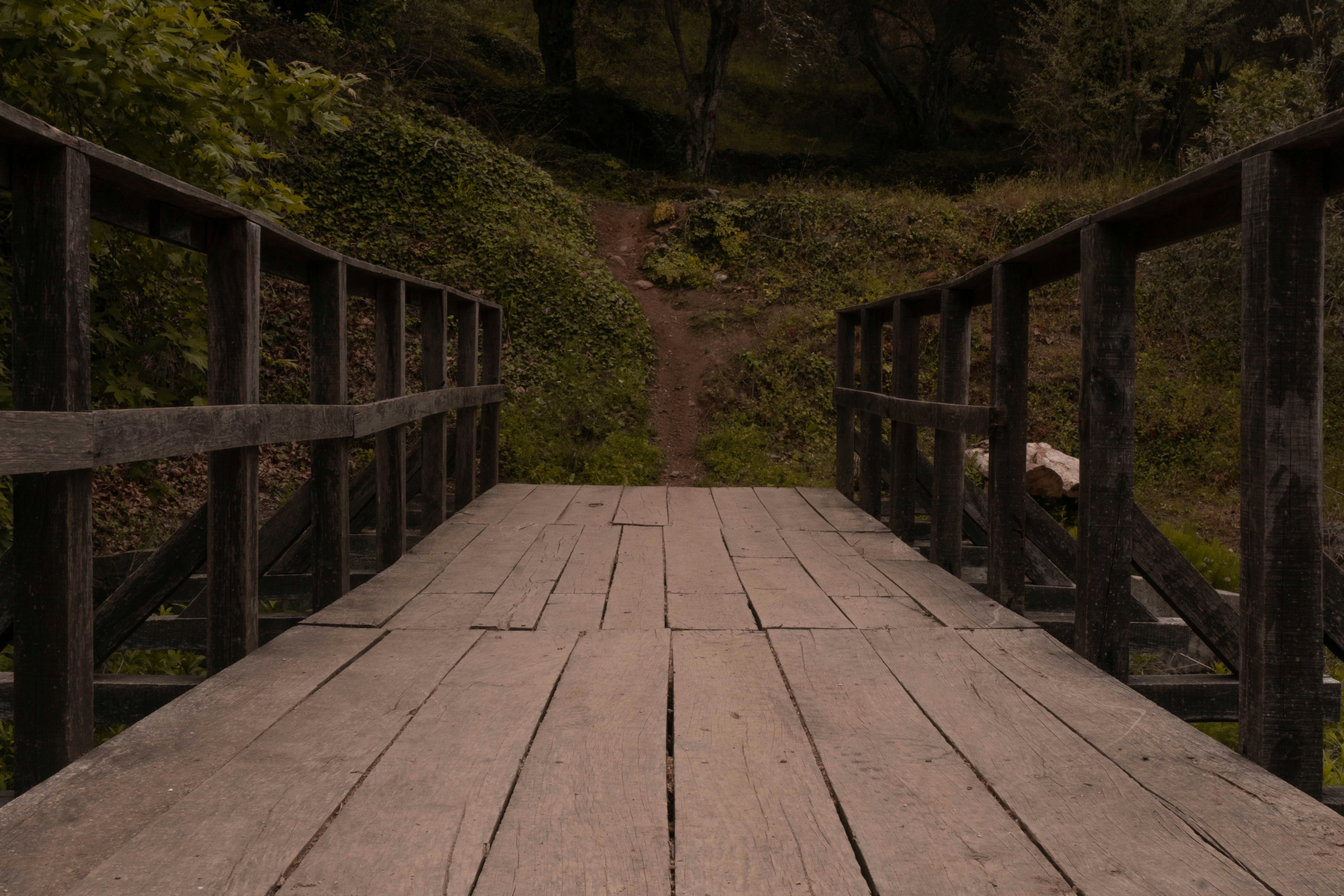 Δεκαεπτά κλωστές - Book review cover