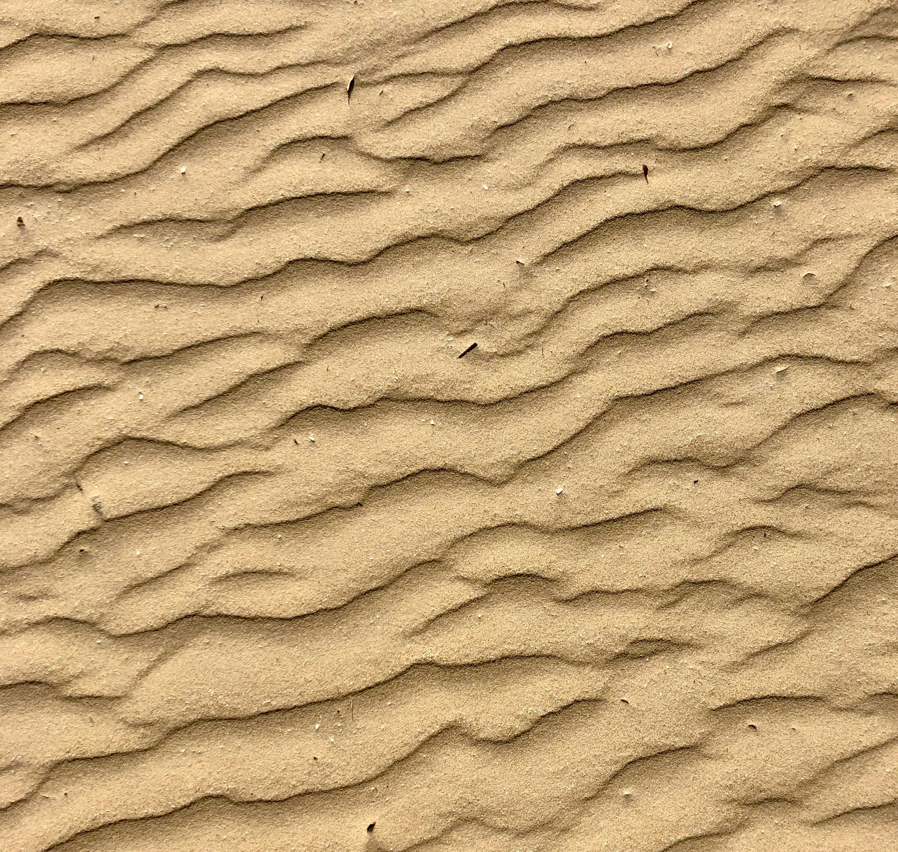 Κεχριμπαρένια Έρημος - Book review cover