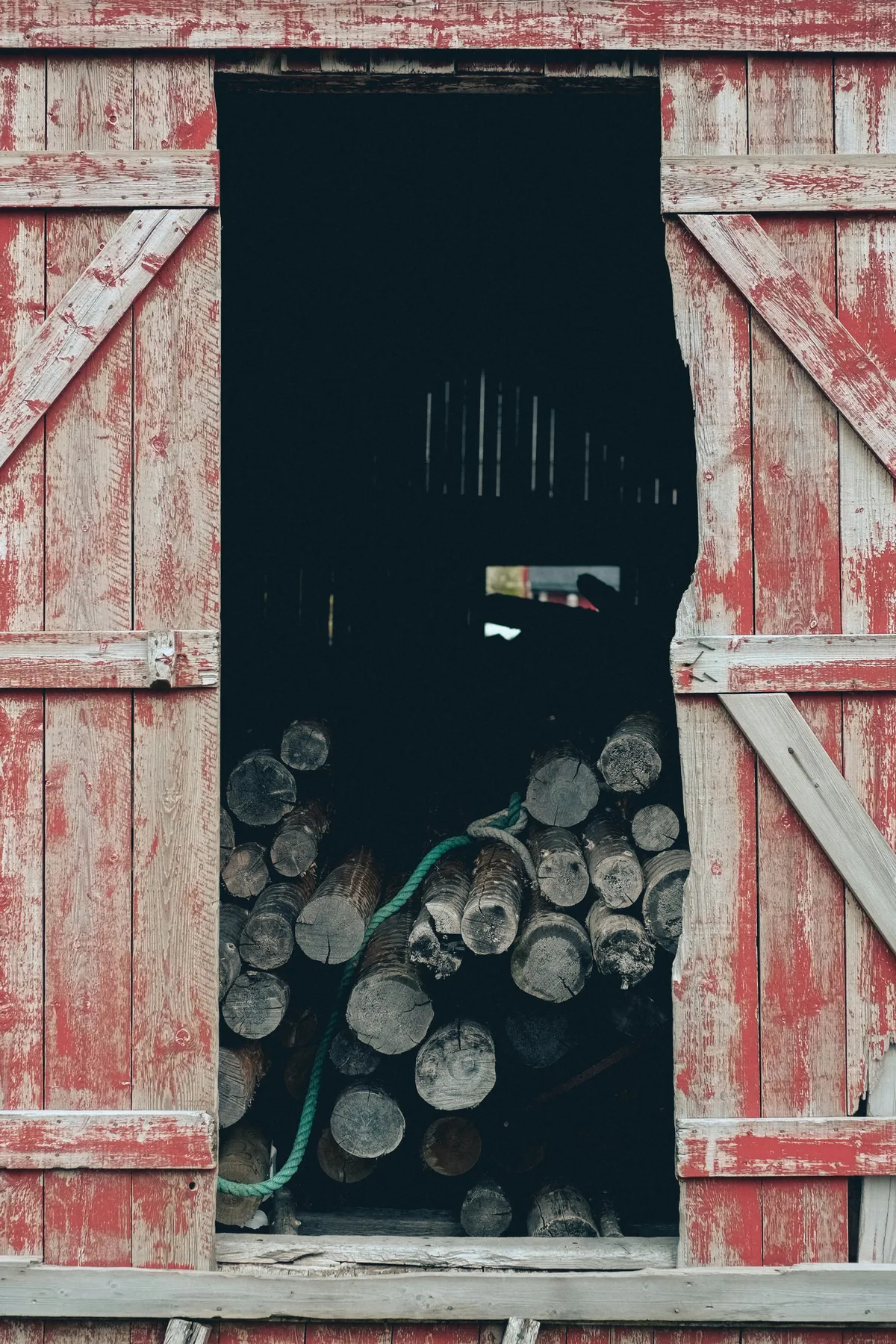 Το κυνήγι του θησαυρού - Book review cover
